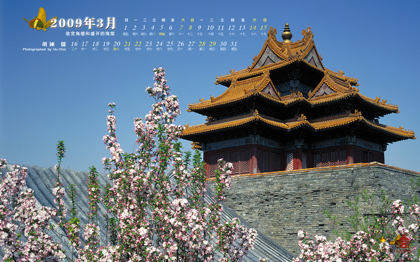 2009年3月墙纸 - 故宫博物院 - 故宫壁纸