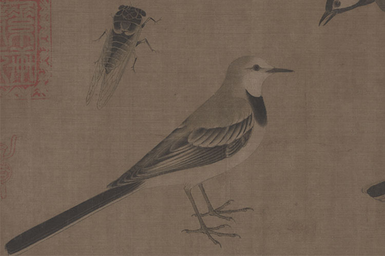 黄筌写生珍禽图卷