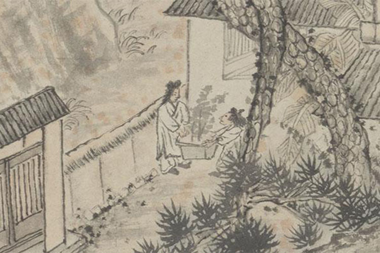 石涛对菊图轴