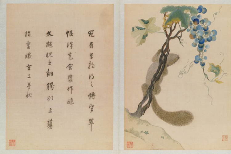 《韩希孟宋元名迹册·葡萄松鼠图》