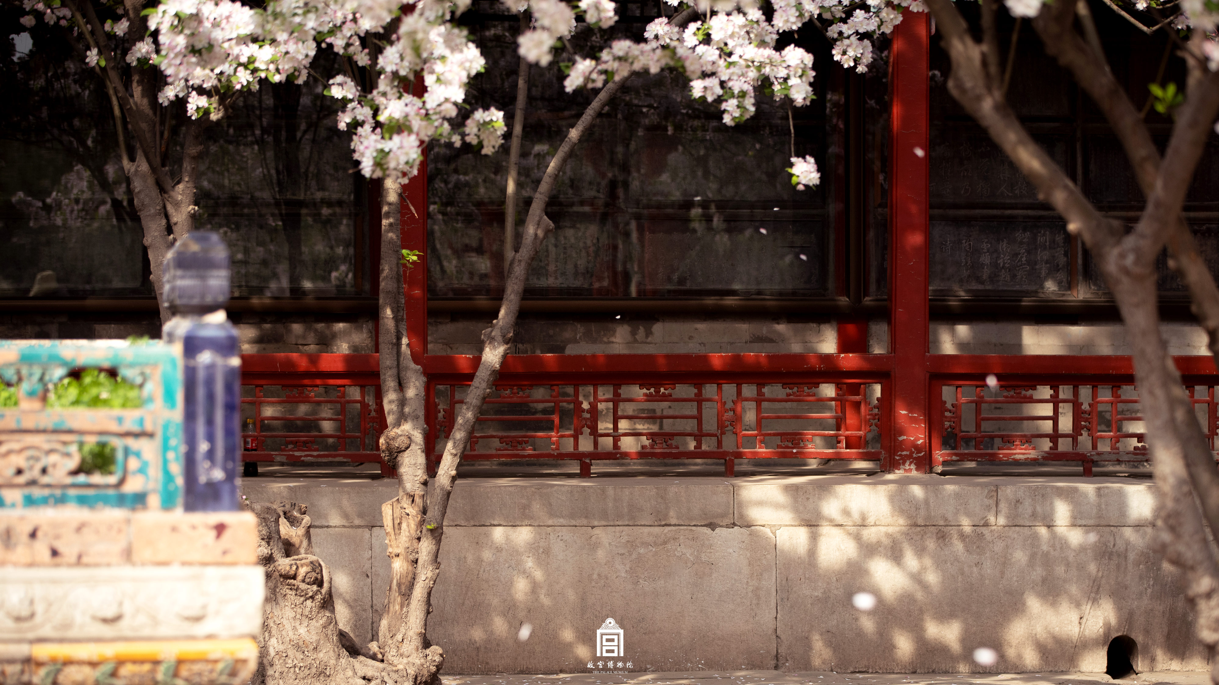 2022年4月13日微博-春天4k壁纸