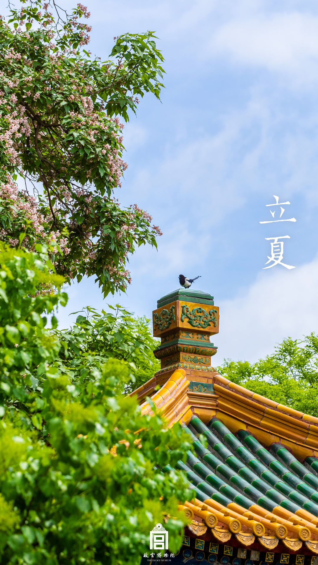 2022年5月5日微博-立夏