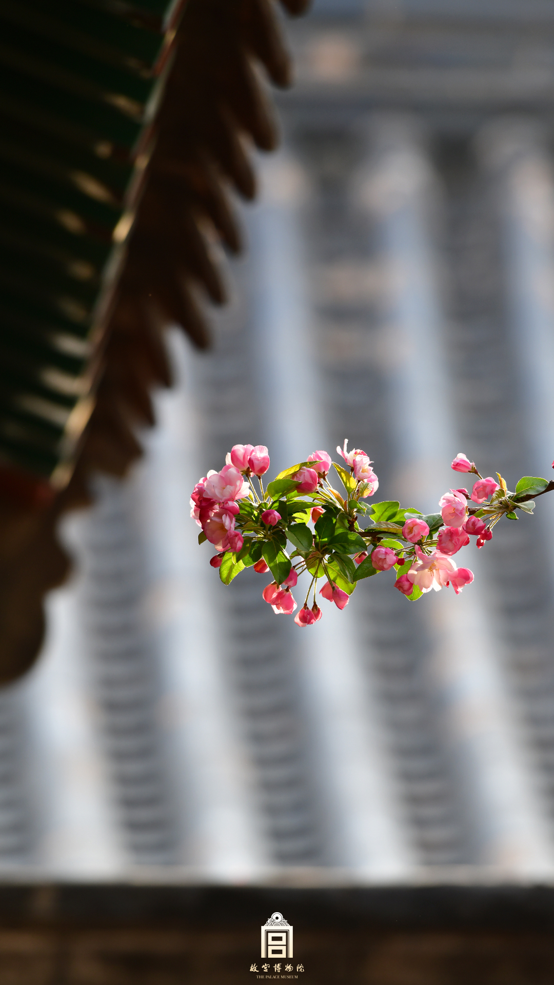 2023年4月13日微信-用色卡打开故宫的春天