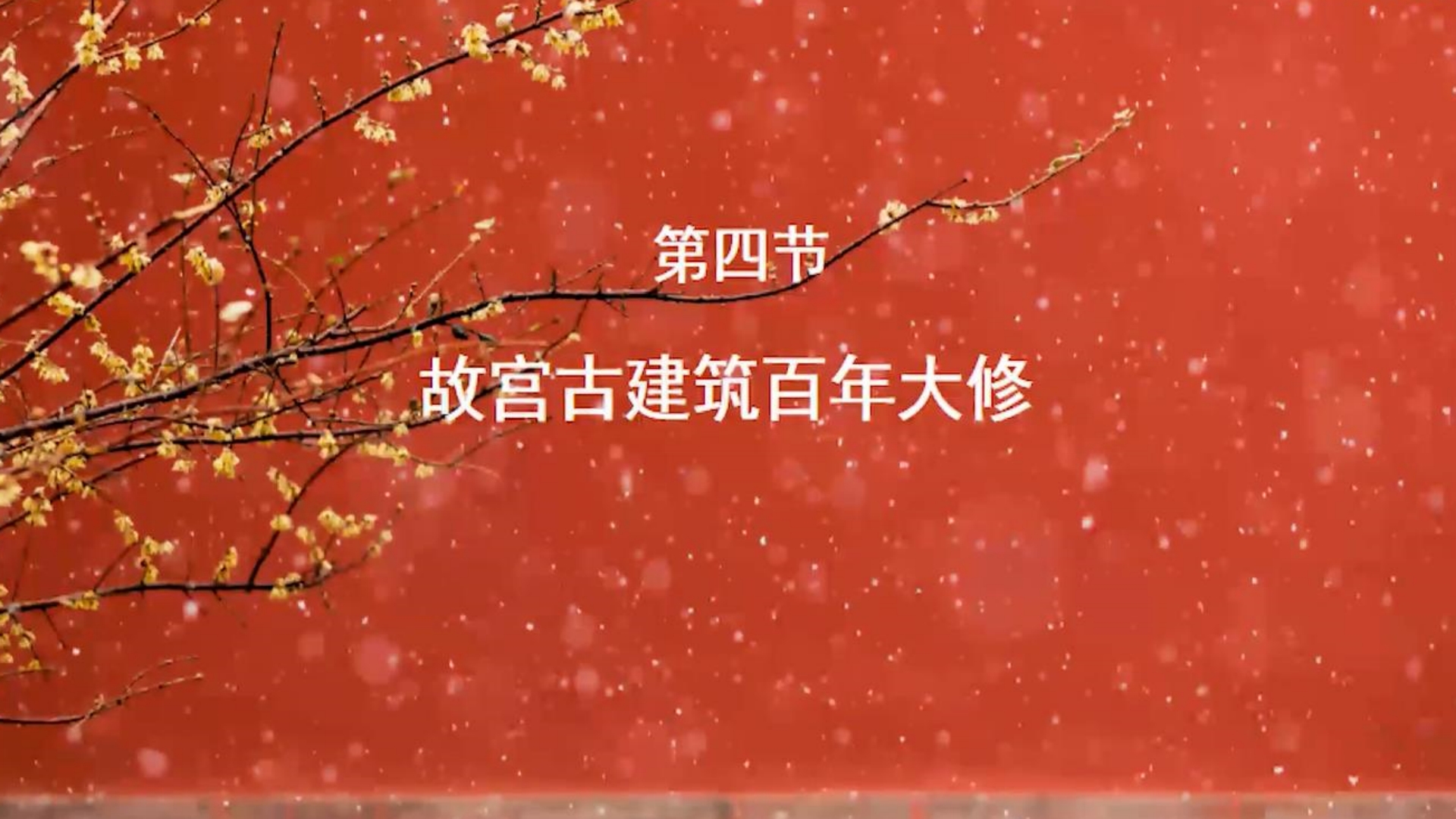 第四节：故宫古建筑百年大修
