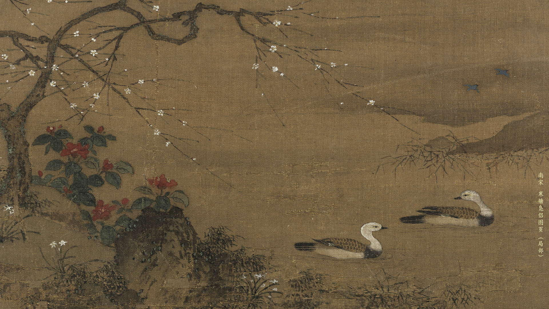南宋 寒塘凫侣图