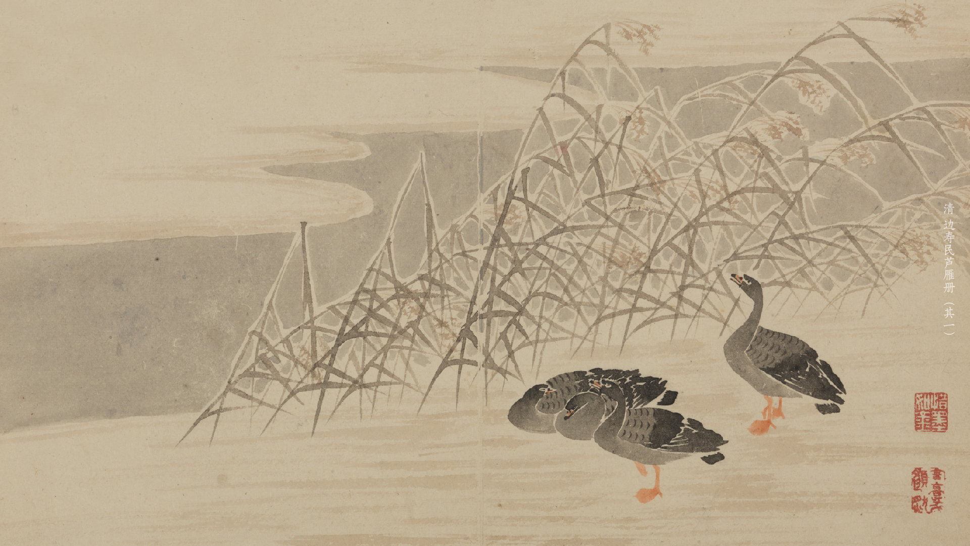 清 边寿民芦雁册