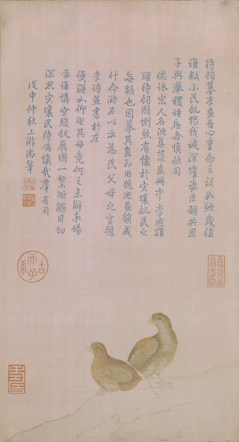 缂毛鸡雏待饲图