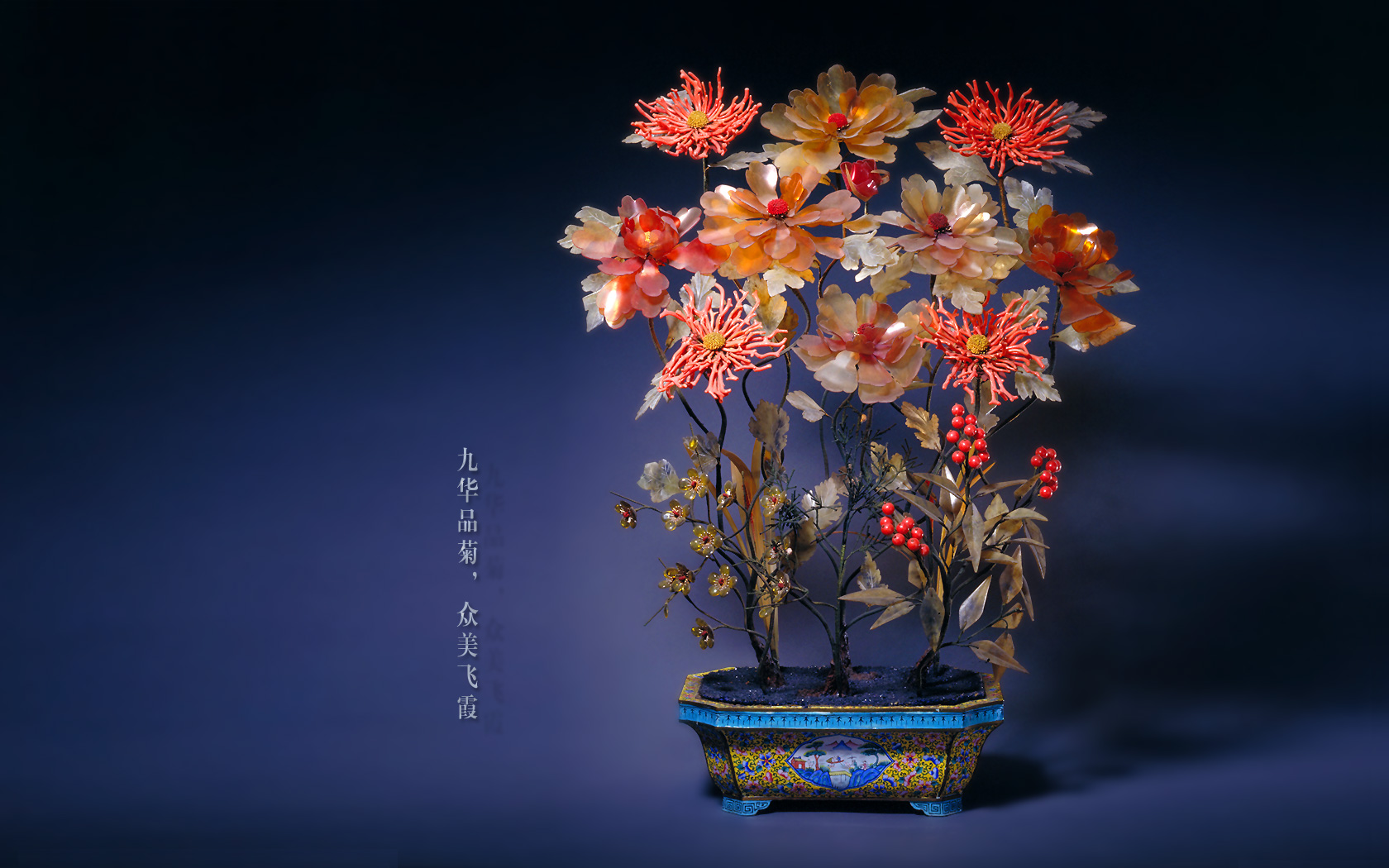 九华品菊 众美飞霞