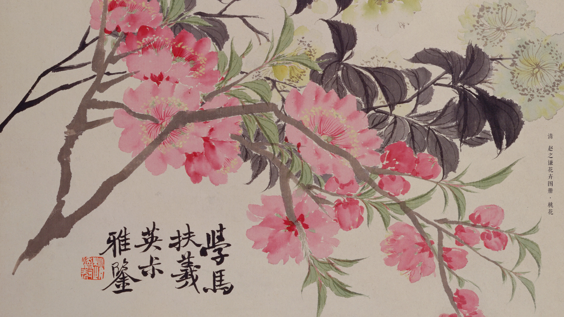 清  赵之谦花卉图册·桃花