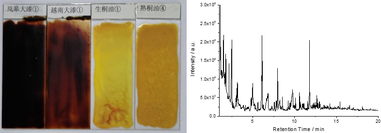 大漆、桐油膜标样，以及大漆膜紫外微区老化过程中所产生老化产物色谱图