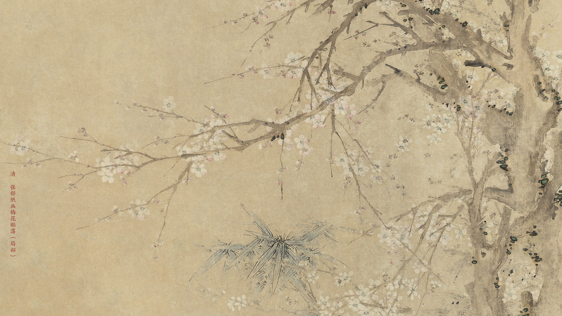 清 张舒纸画梅花贴落