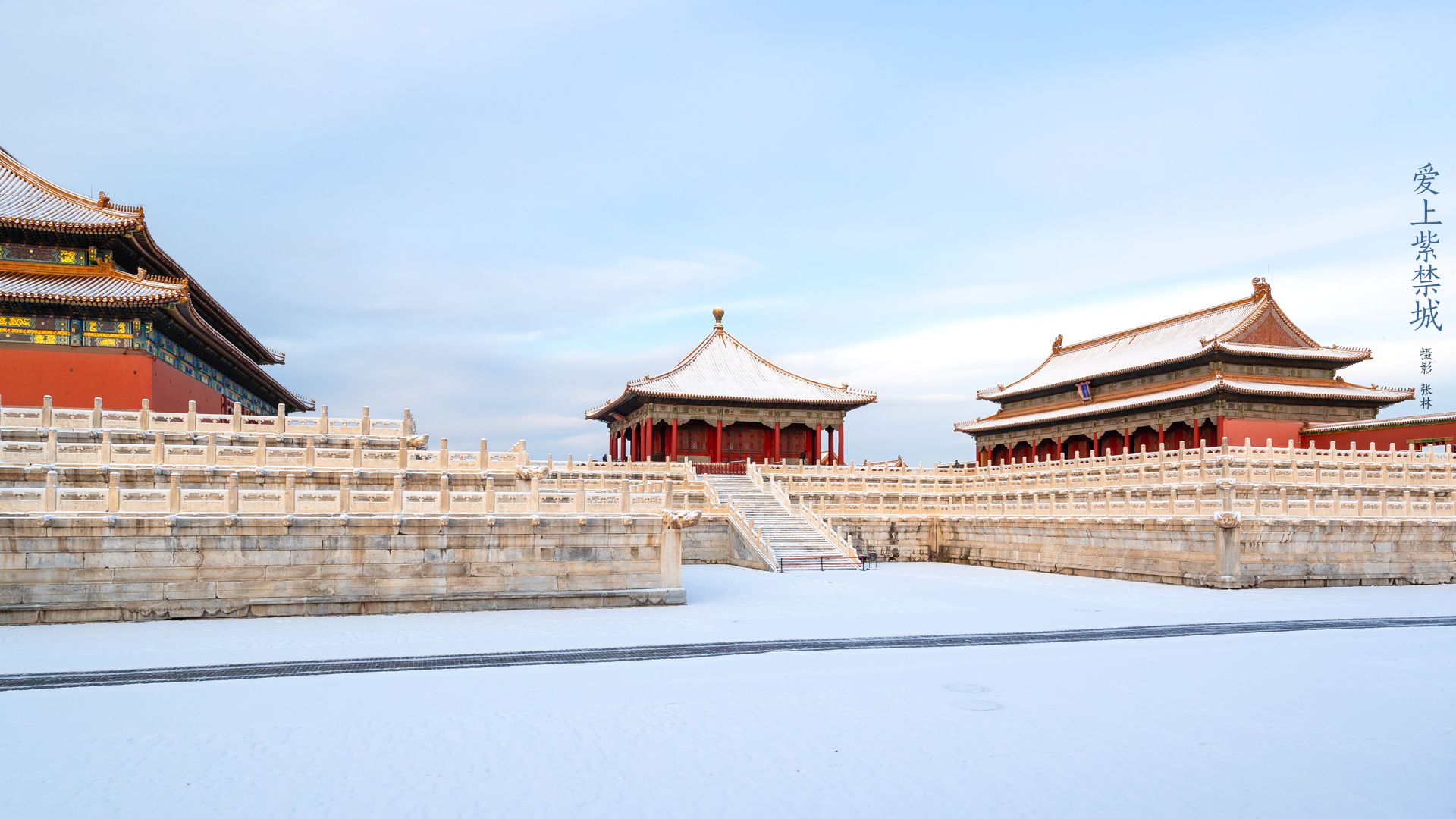 爱上紫禁城