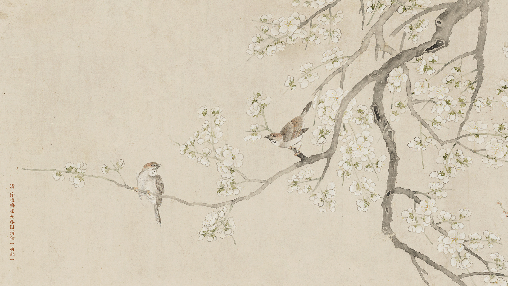 清 徐扬梅雀先春图横轴