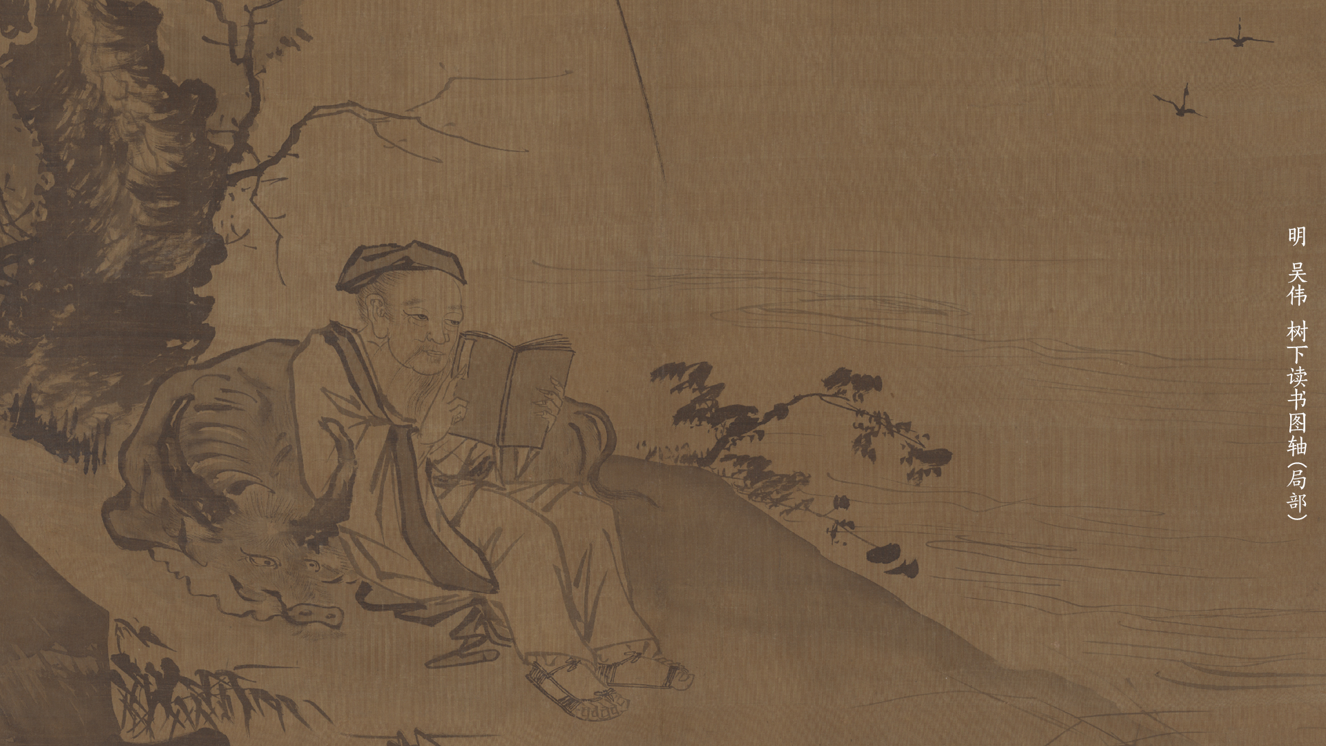 明 吴伟 树下读书图轴