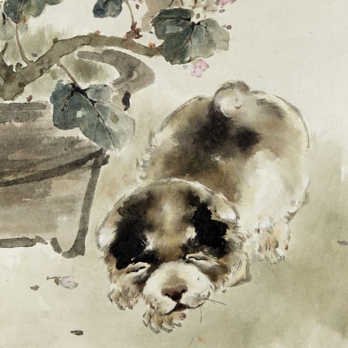 走兽图册——狗