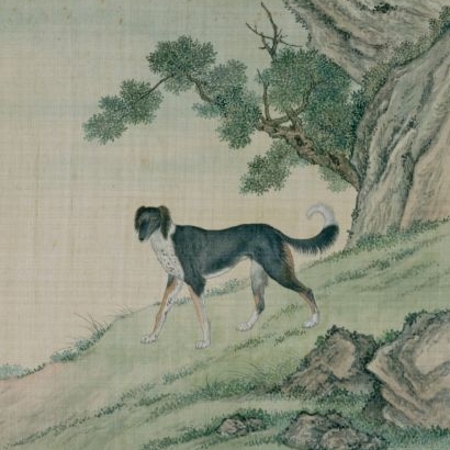 兽谱图册——犬