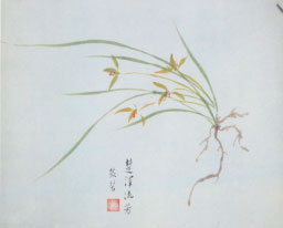 楚泽流芳 楚泽流芳