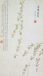 垂杨飞絮 垂杨飞絮